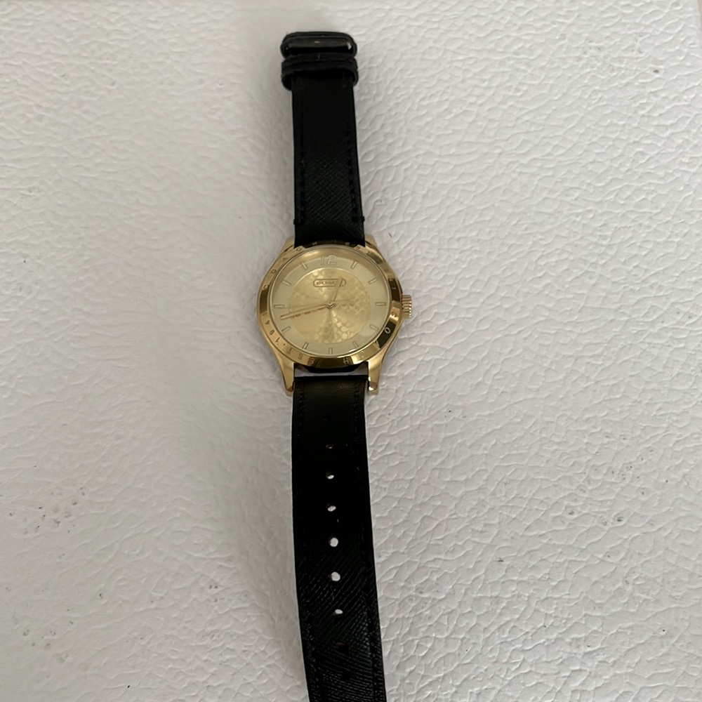 Coach black watch